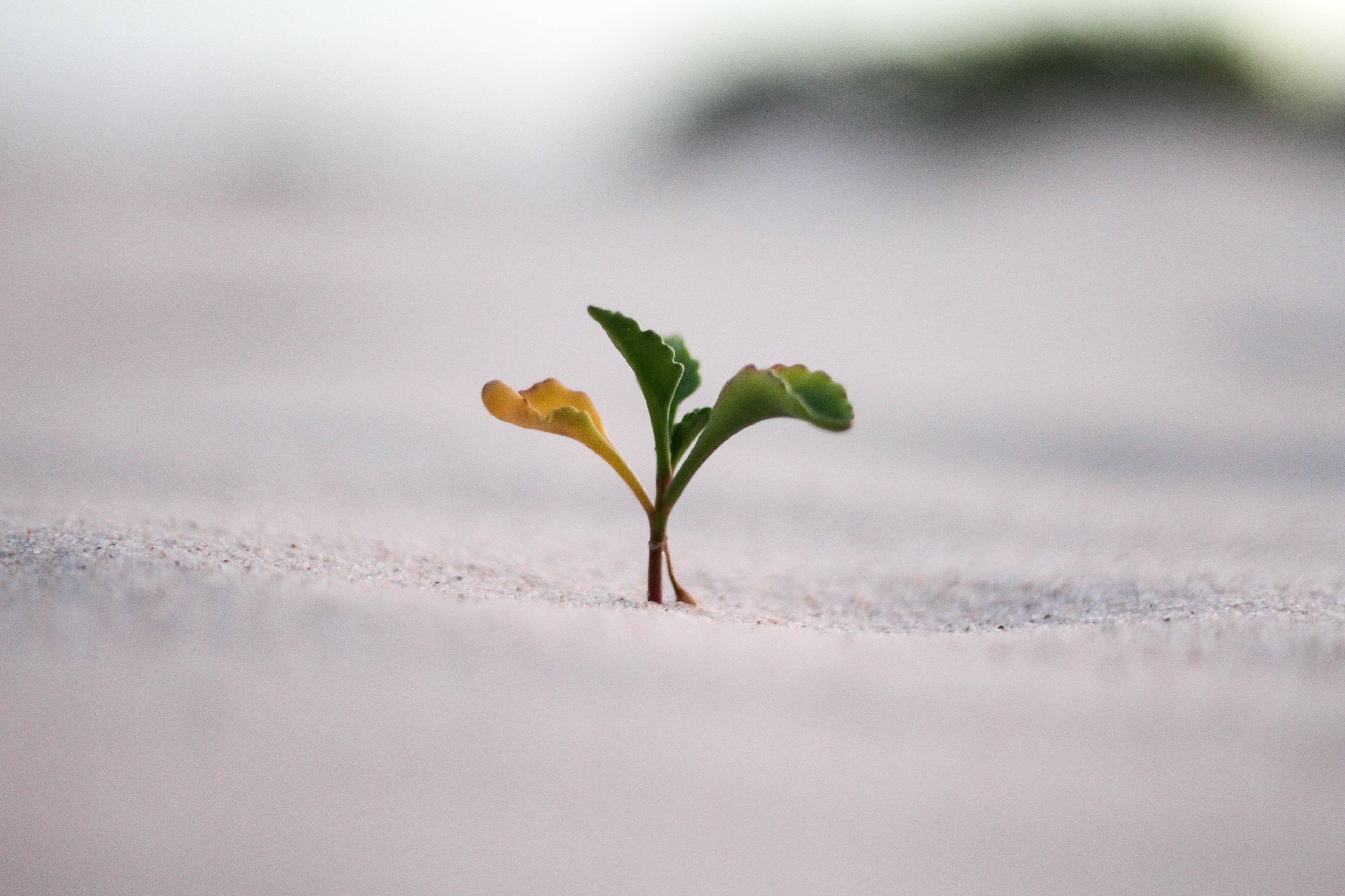 #19 - Grow w/ Ryan Sydnor & Richard Hill